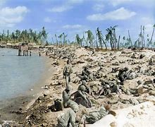 Image result for Camp White Beach Okinawa in the Mid 1960s