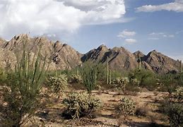 Image result for Beautiful Sonoran Desert