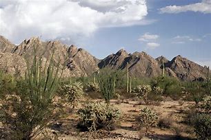 Image result for Sonoran Desert Sunrise