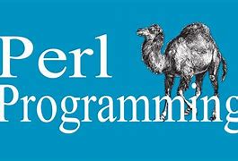Image result for perl�fedo