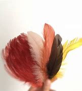 Image result for Feather Antique