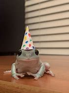 Image result for Frog Birthday Hat