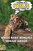 Image result for Best Pittsburgh Steelers Jokes