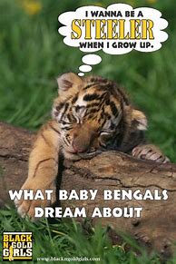 Image result for Bengals vs Steelers Jokes