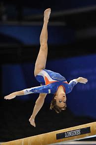 Image result for Amazing Gymnastics