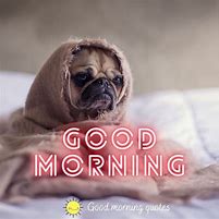 Image result for Good Morning Crazy People T-shirt