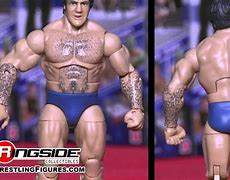 Image result for WWE Wrestling Figures Elite