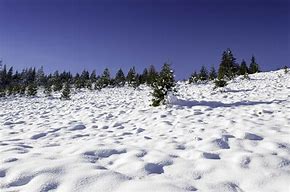 Image result for Snow Environment