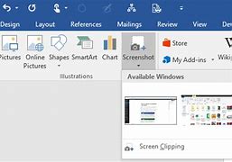 Image result for Microsoft Office Screen Shot