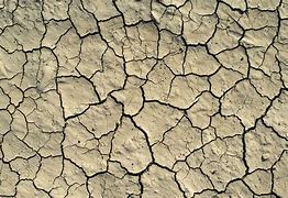 Image result for Cracked Dirt