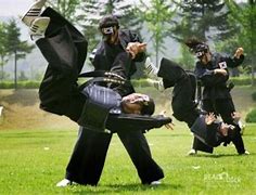 Image result for South Korea Karate Suit