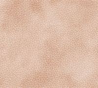 Image result for Skin Texture for Photoshop