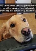 Image result for Worker Doggo Meme