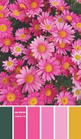 Image result for Pink Green Yellow Combination