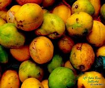 Image result for Golden Apple Barbados