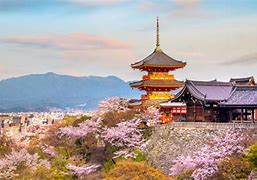 Image result for Kyoto Tour