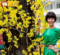 Image result for Thuy Tra