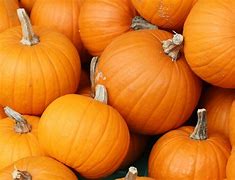 Image result for Pink Pumpkins Home Screen for iPhone