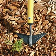 Image result for Weeding Tools for Garden
