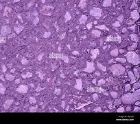 Image result for Pebbles Texture