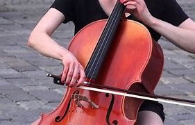 Image result for cellists