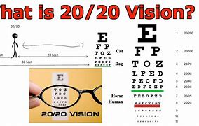 Image result for 20 20 Safety Vision Logos