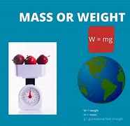 Image result for Example of Mass and Weight