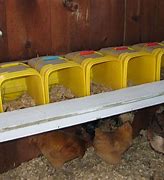 Image result for Chicken Egg Laying Box