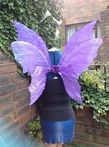 Image result for Adult Tinkerbell Wings