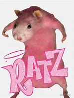 Image result for Ratapoopy Meme Image