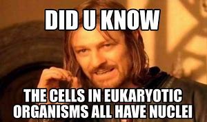 Image result for What Is Found in Cells Meme