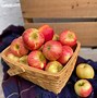 Image result for Freezing Apples