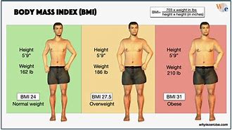 Image result for Body-Mass Index Exercise
