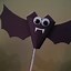 Image result for Bat Activities