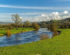 Image result for Tywi