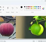 Image result for How to Compare Photos Side by Side in Windows and Zoom