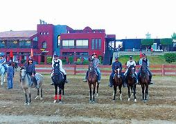 Image result for Horse Riding Club