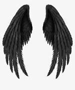 Image result for Dark Angel Wings
