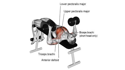 Image result for Parallel Line Development of Triangle Ang Reactangle