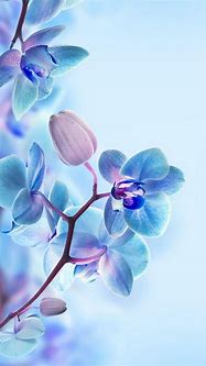 Image result for 3D Flowers Wallpaper for Phone