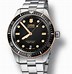 Image result for Oris Dive Watch