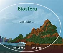 Image result for biosfera