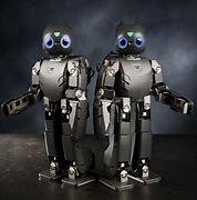 Image result for Types of Humanoid Robots