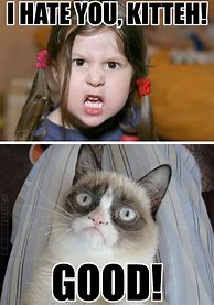 Image result for Kid Grumpy Cat Memes