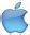 Image result for Apple 5C