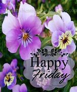 Image result for Friday 13th Day