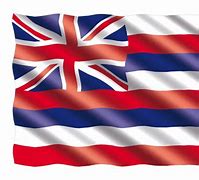 Image result for Hawaii State Flag Facts