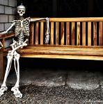 Image result for Skeleton Bench Meme