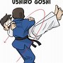 Image result for Judo Throws