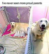 Image result for Wholesome Love Memes